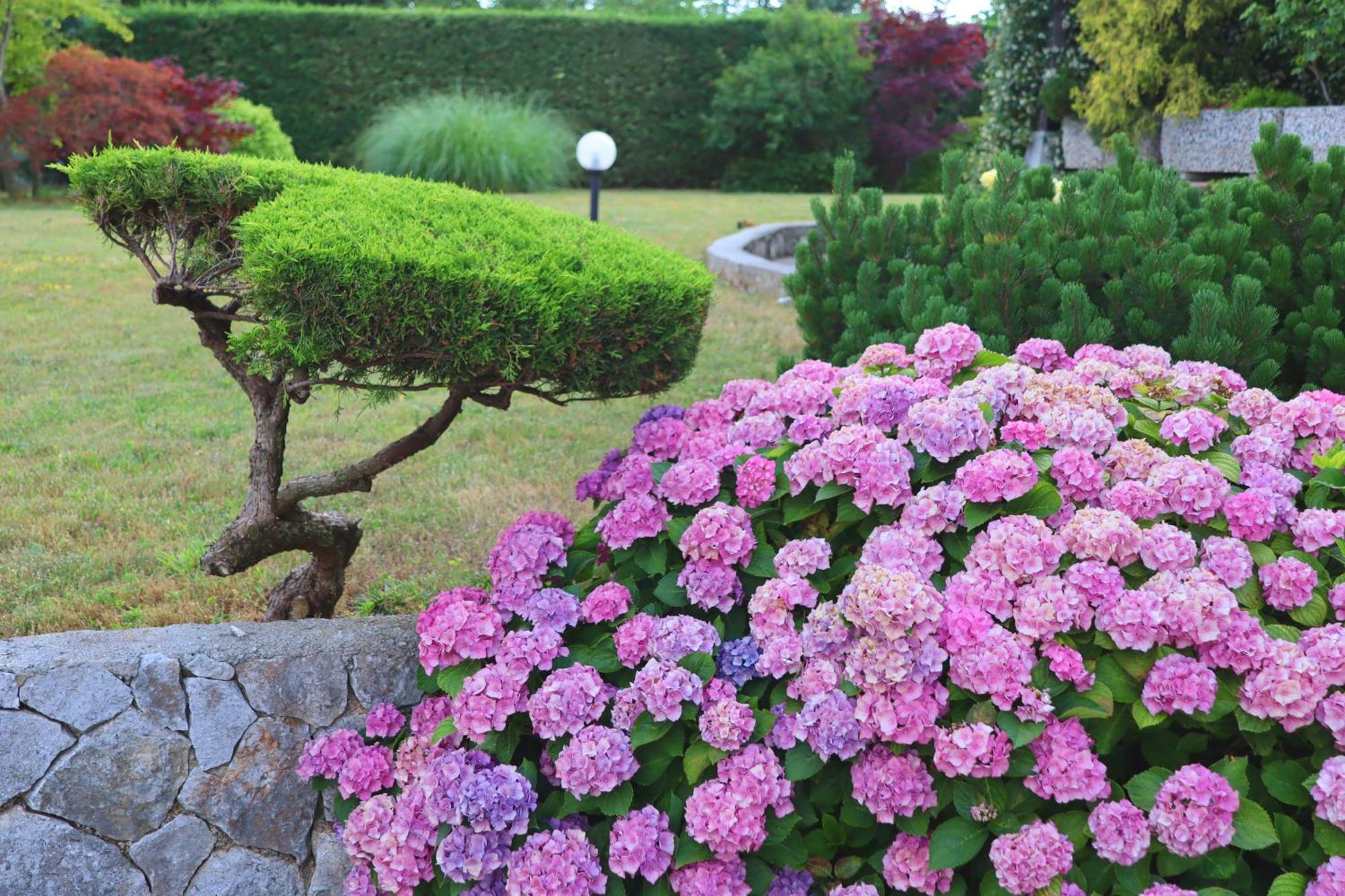 Garden Villa Stanjel Exterior photo